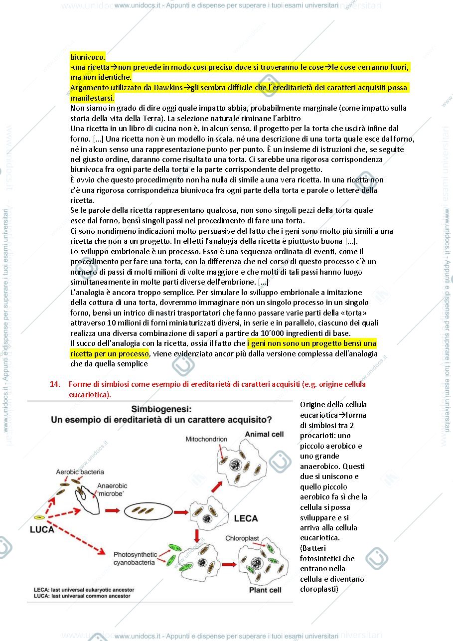 Anteprima pagina 4 — Esame evoluzione biologica