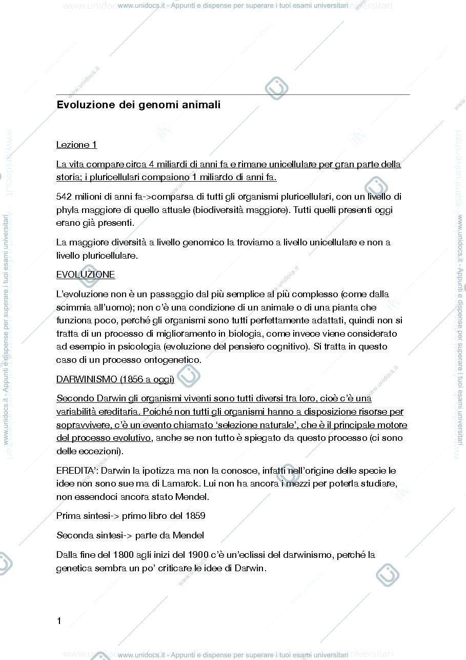 Anteprima pagina 1 — Evoluzione dei genomi animali