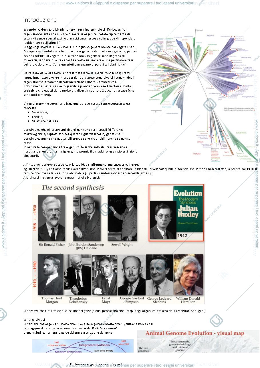 Anteprima pagina 1 — Dispensa evoluzione dei genomi animali