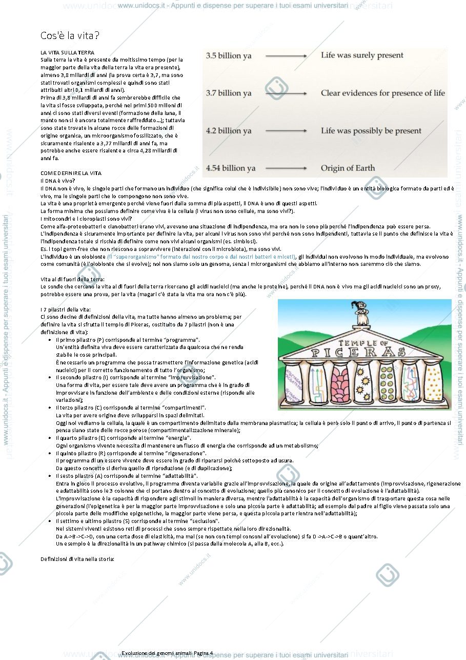 Anteprima pagina 4 — Dispensa evoluzione dei genomi animali