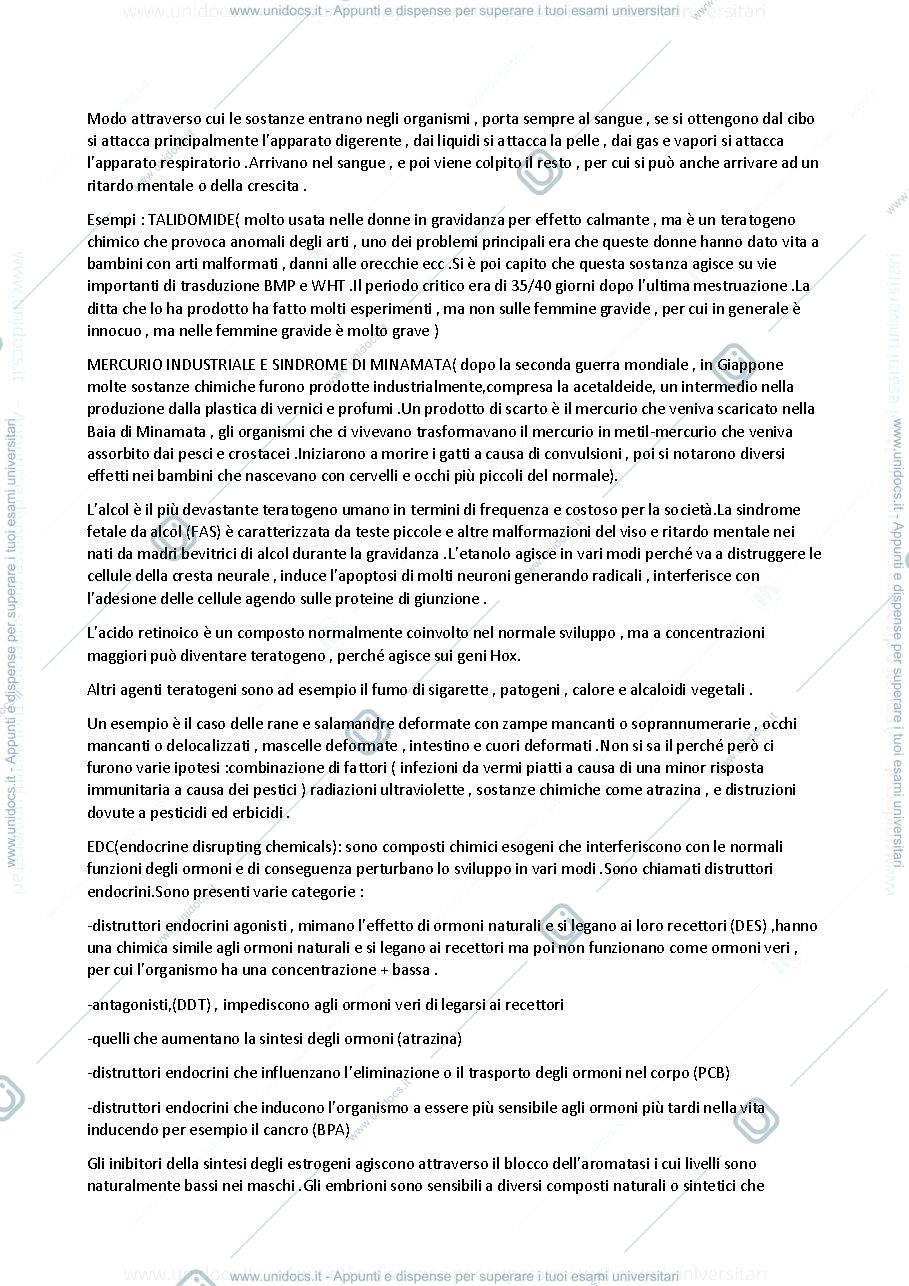 Anteprima pagina 2 — Appunti di Evoluzione e Sviluppo 