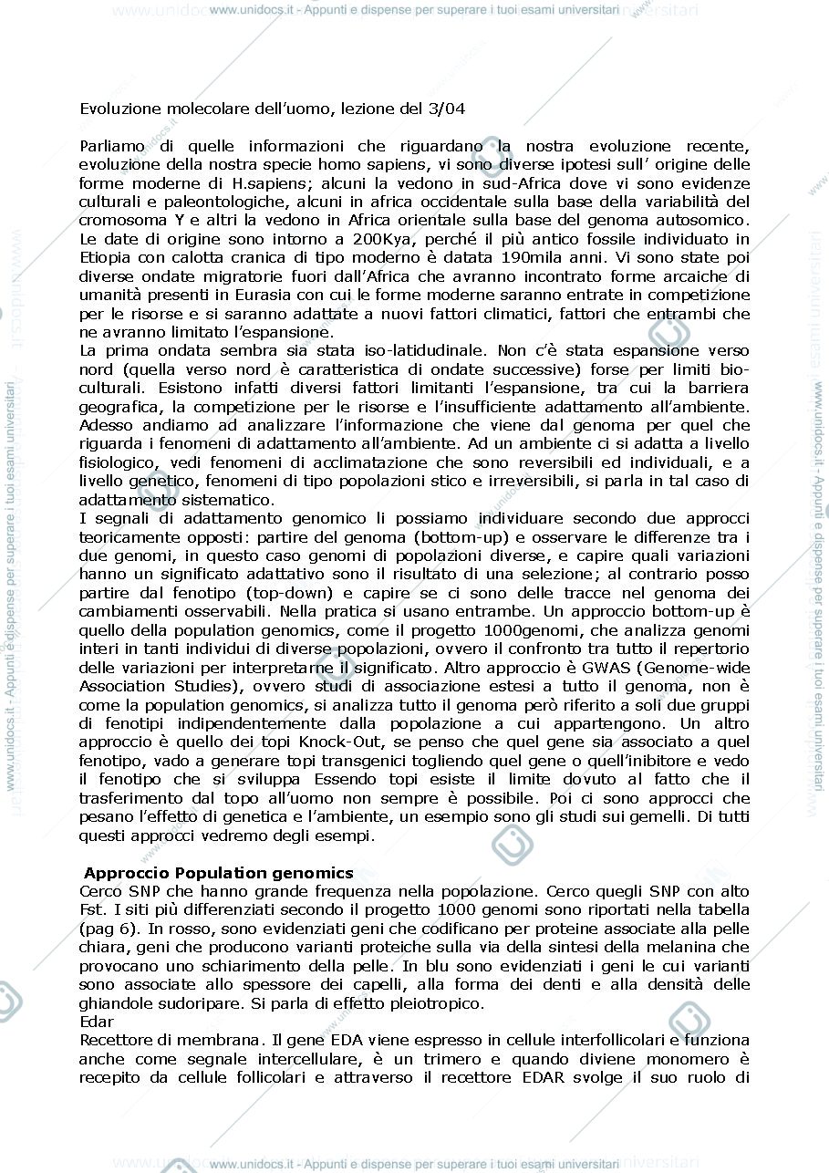 Anteprima pagina 1 — evoluzione recente dell'uomo