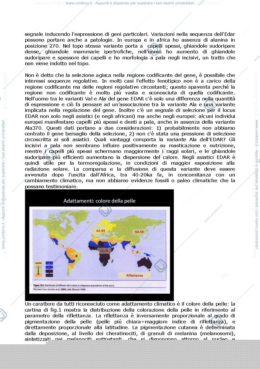 Anteprima pagina 2 — evoluzione recente dell'uomo