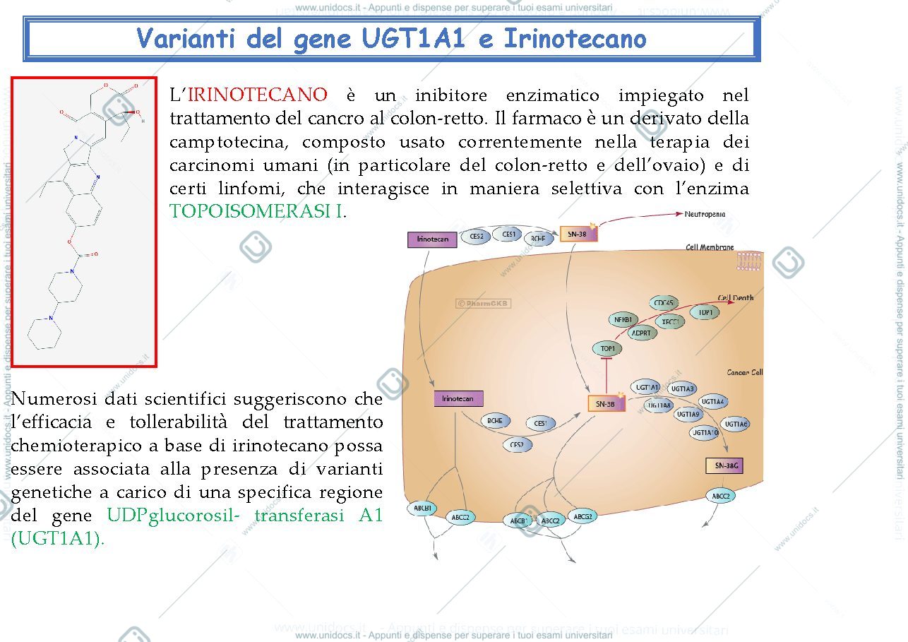 Anteprima pagina 3 — farmacogenomica