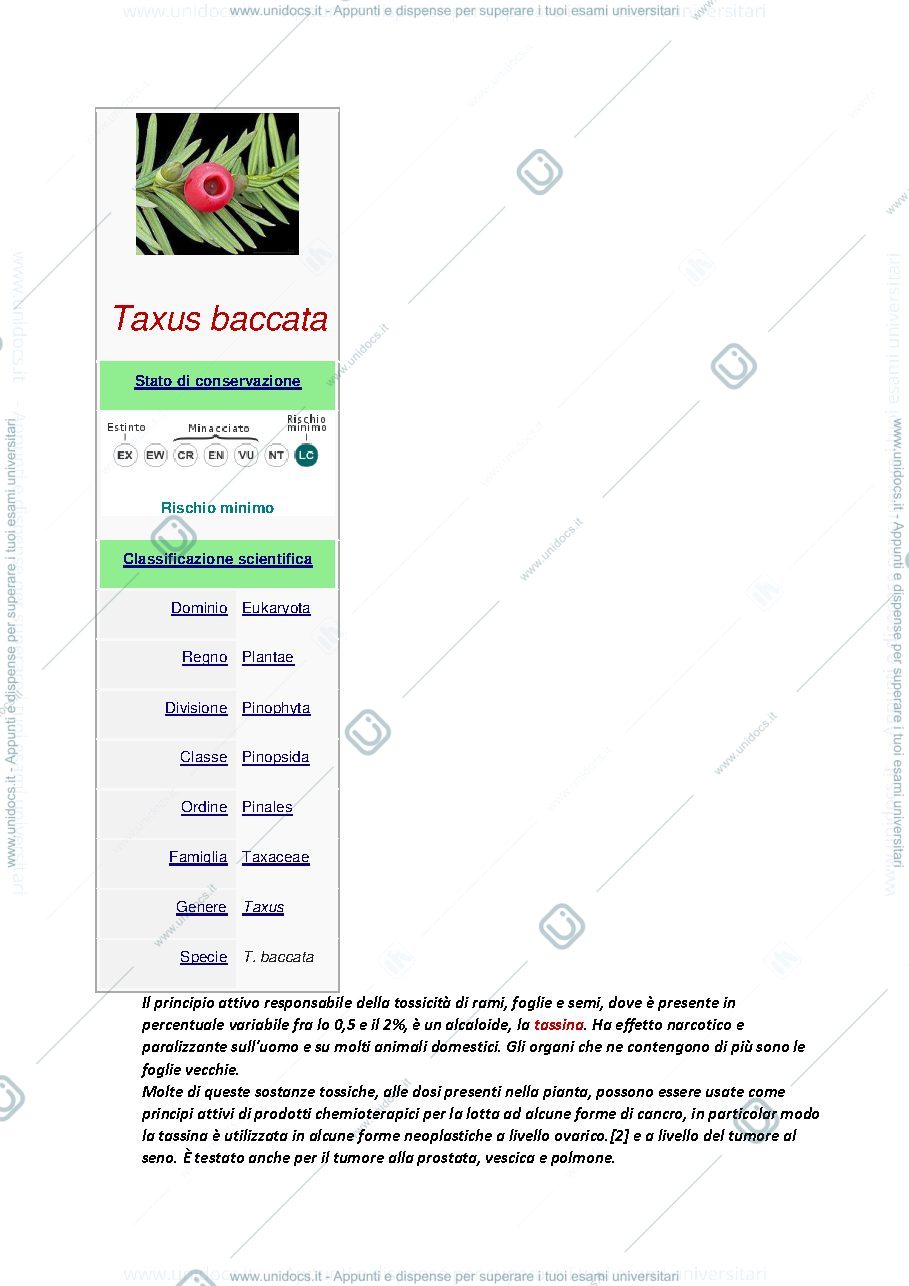 Anteprima pagina 3 — Biologia VEGETALE CON ELEMENTI DI BOTANICA FARMACEUTICA  (SOLO SCHEMI PIANTE)