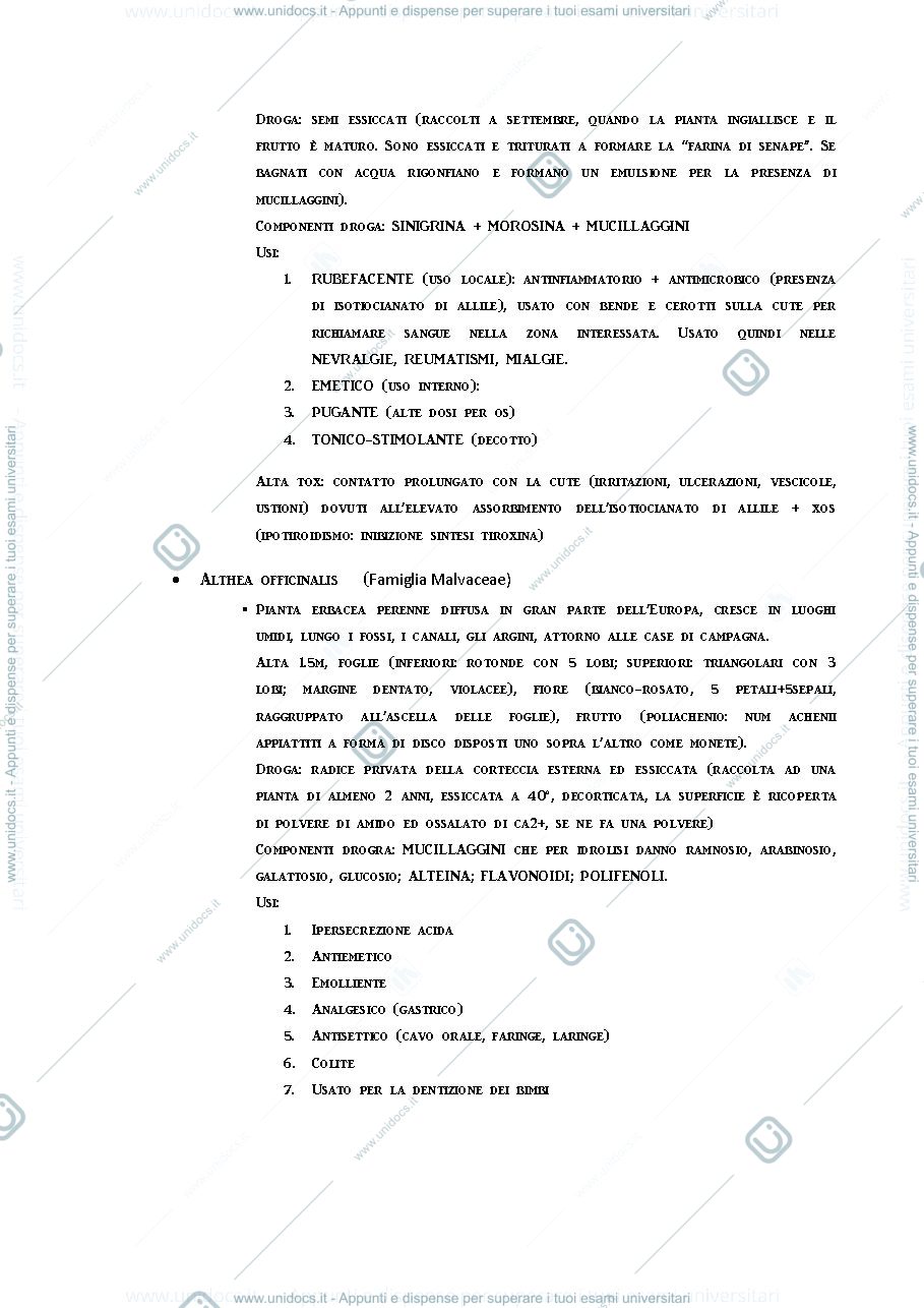 Anteprima pagina 2 — Farmacogniosia botanica