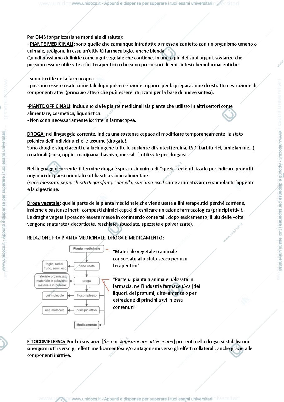 Anteprima pagina 2 — Introduzione