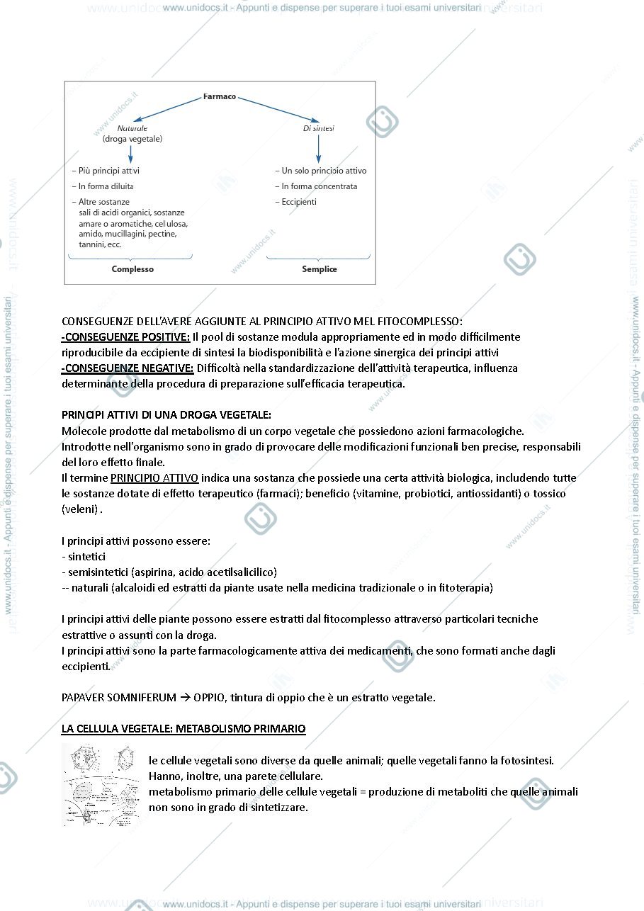 Anteprima pagina 3 — Introduzione