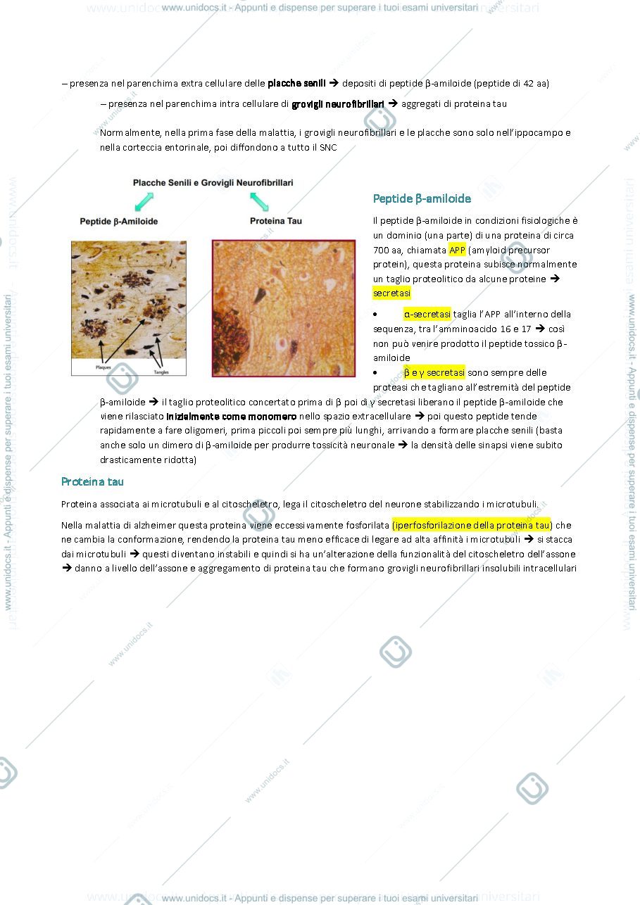 Anteprima pagina 2 — farmacologia 2 prima parte