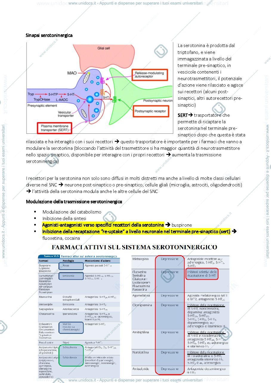 Anteprima pagina 3 — farmacologia 2 seconda parte