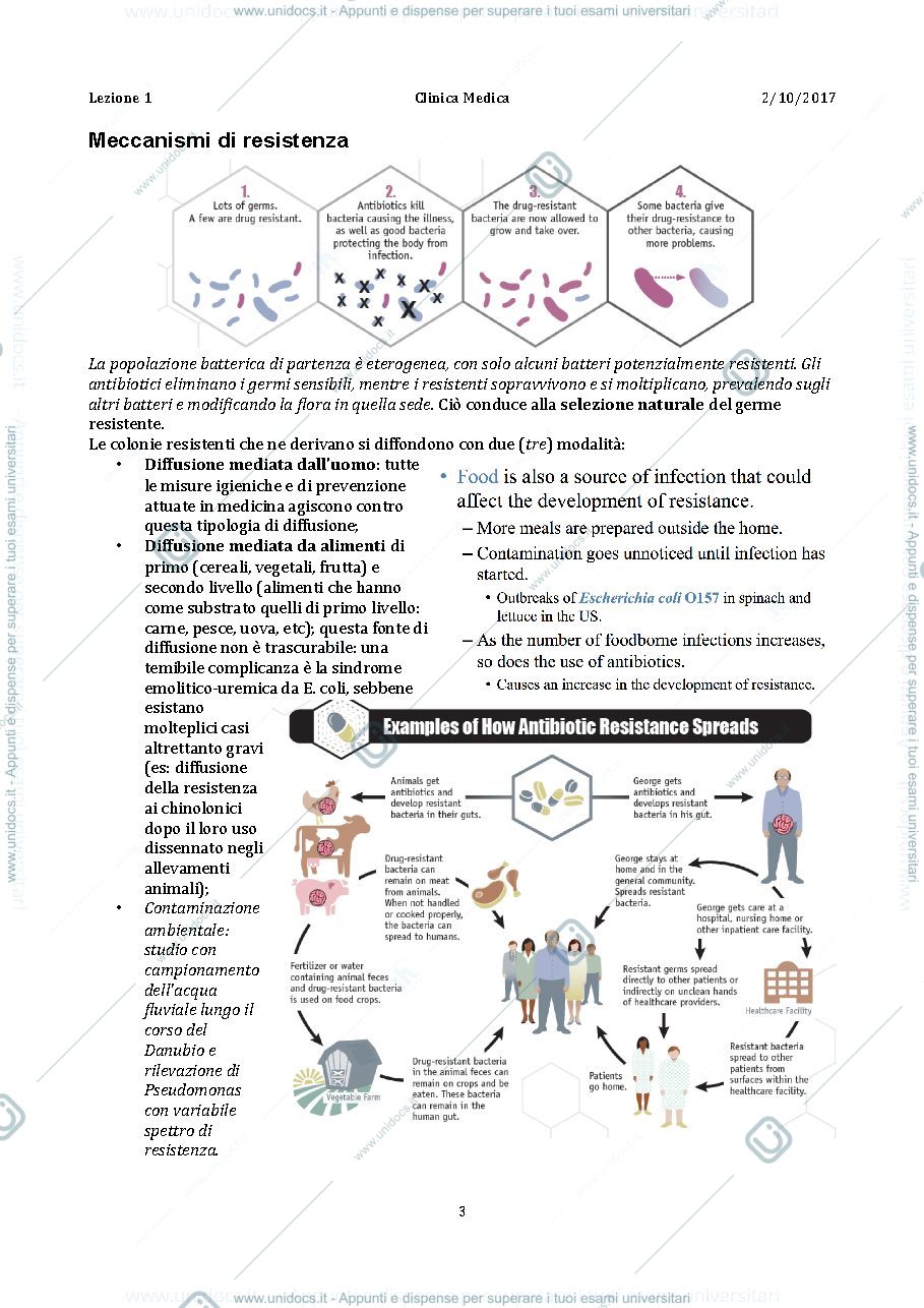 Anteprima pagina 3 — antibiotico terapia