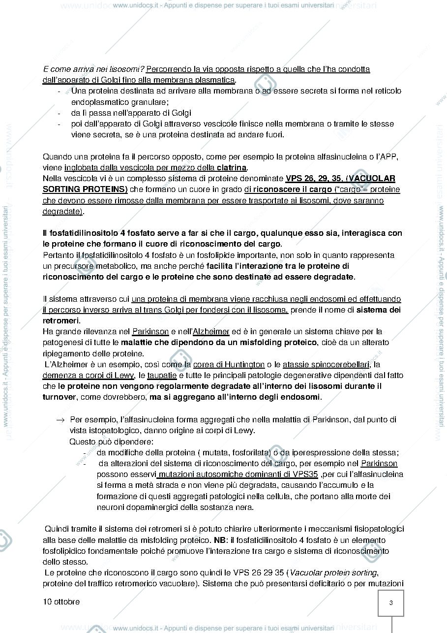 Anteprima pagina 3 — Farmacologia 2