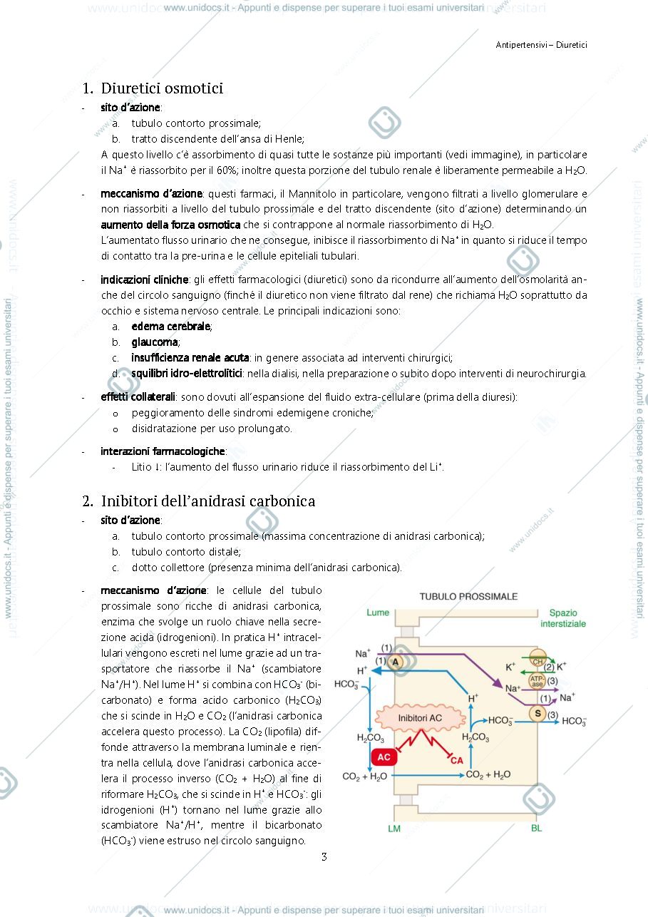 Anteprima pagina 3 — Farmacologia 