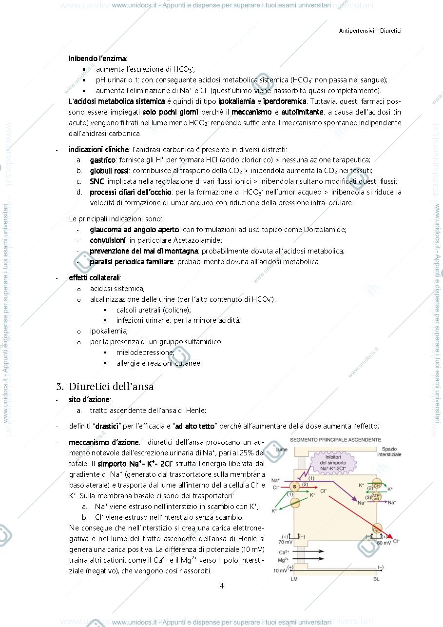 Anteprima pagina 4 — Farmacologia 