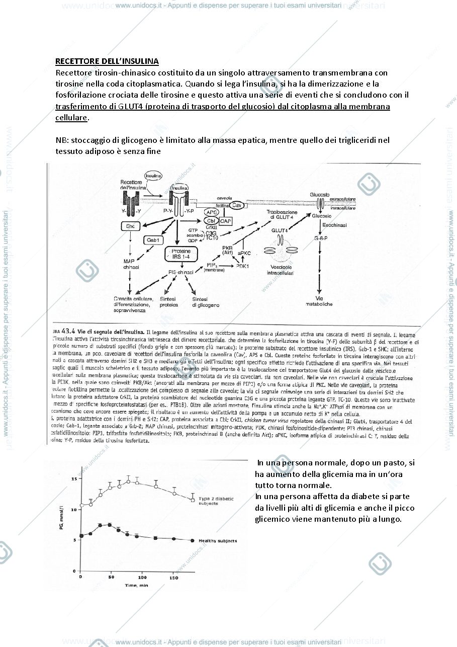 Anteprima pagina 2 — insuline e ipoglicemizzanti