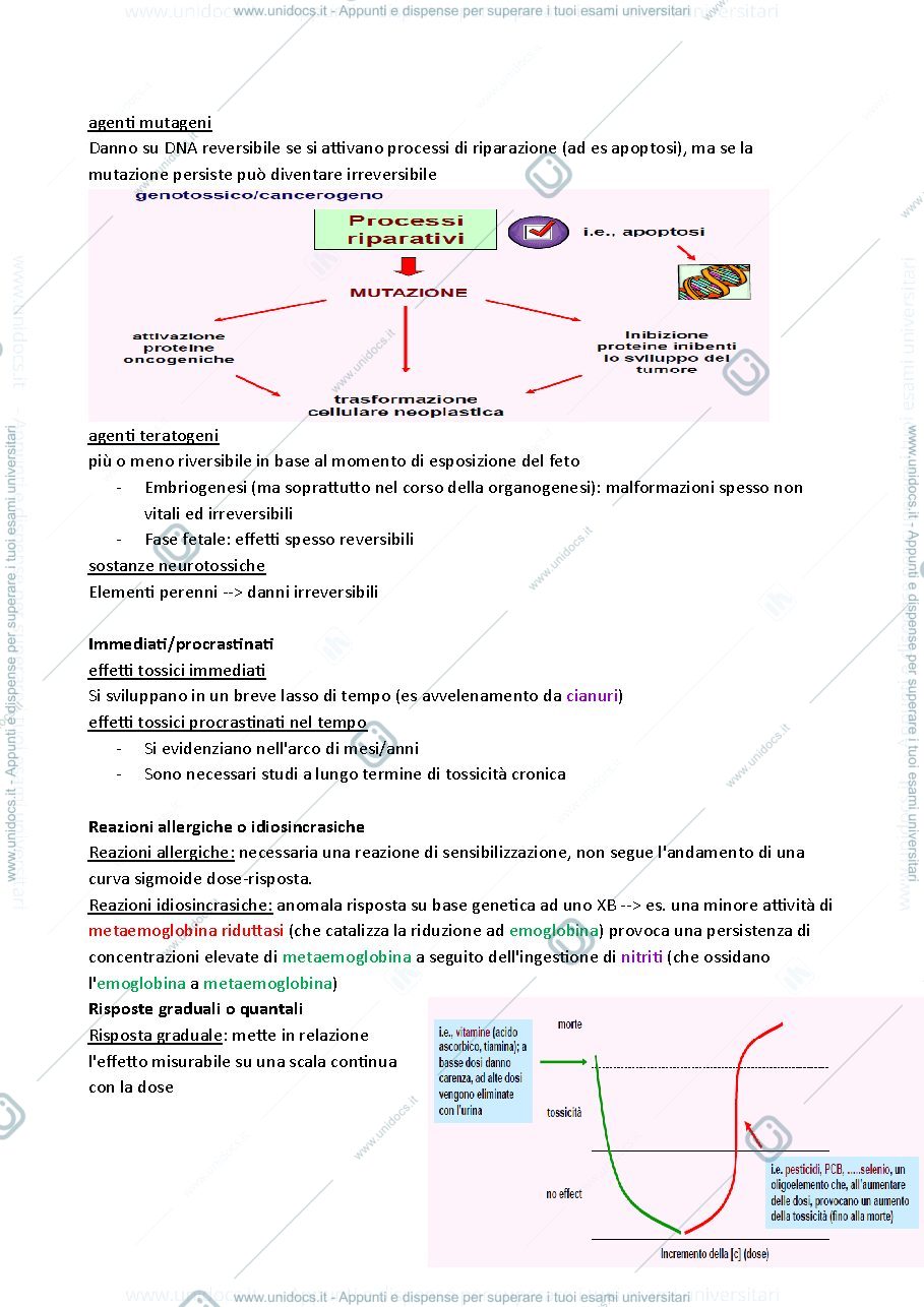 Anteprima pagina 4 — Tossicologia 1 
