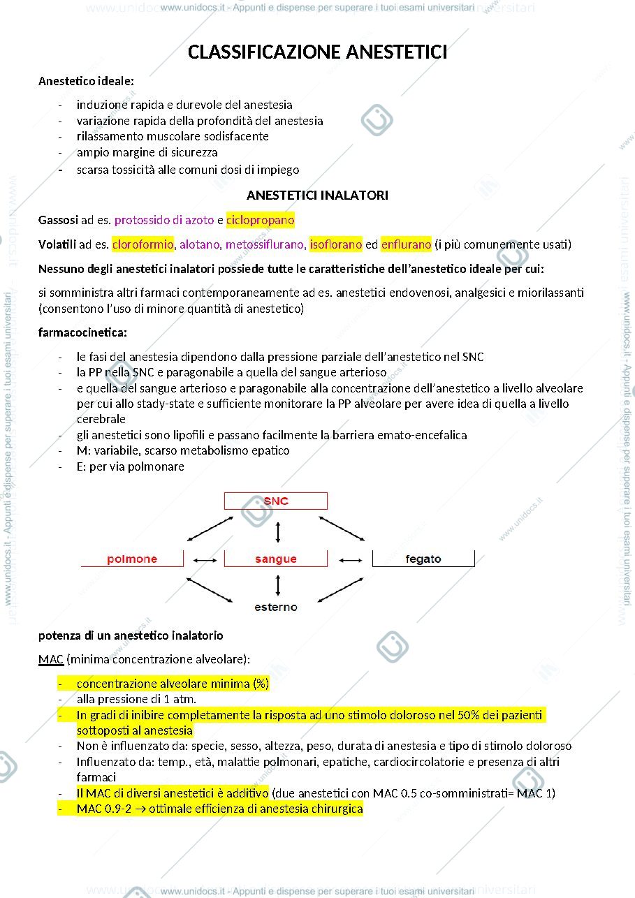 Anteprima pagina 2 — Farmaco speciale completo 