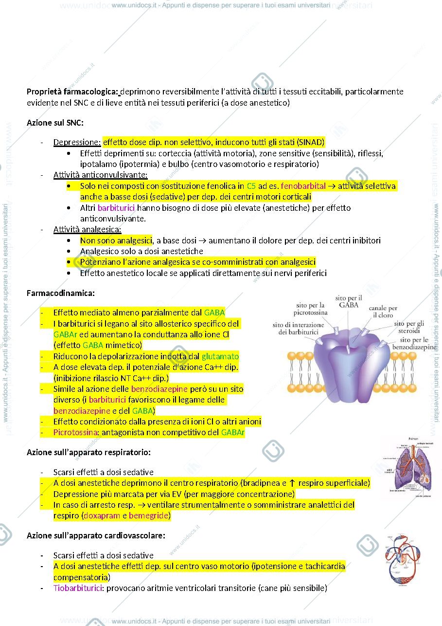 Anteprima pagina 4 — Farmaco speciale completo 