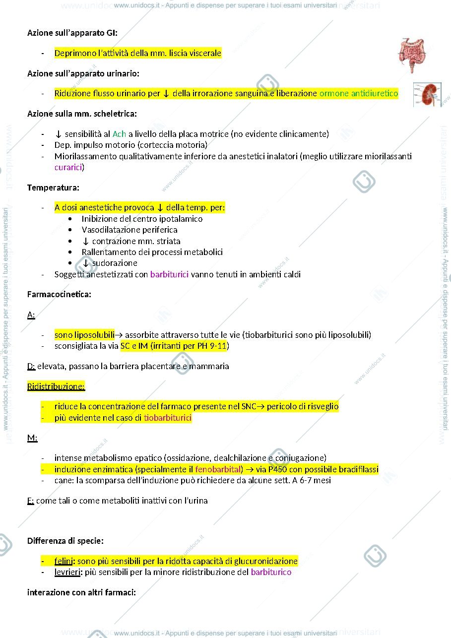 Anteprima pagina 5 — Farmaco speciale completo 