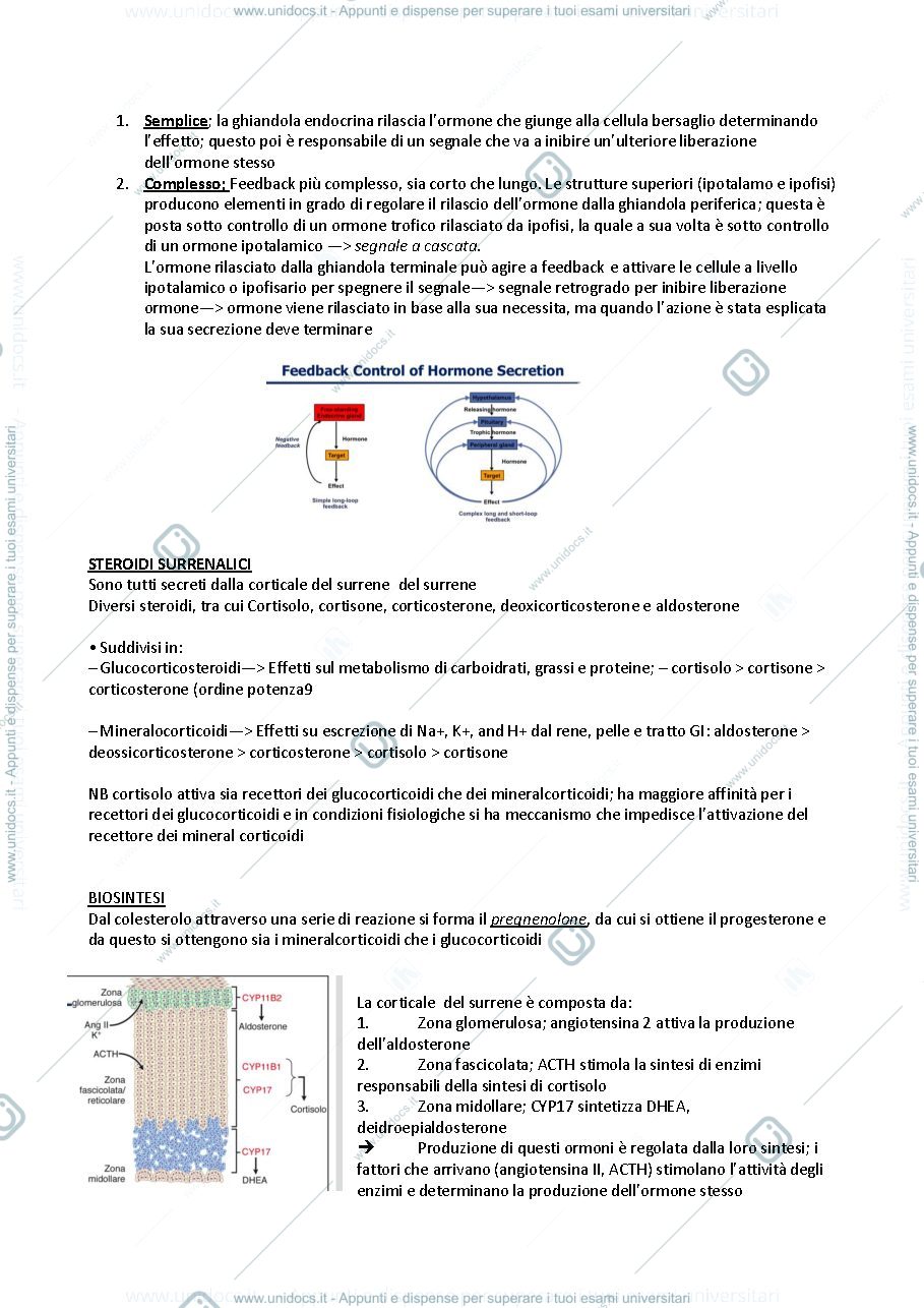 Anteprima pagina 2 — Glucocorticoidi