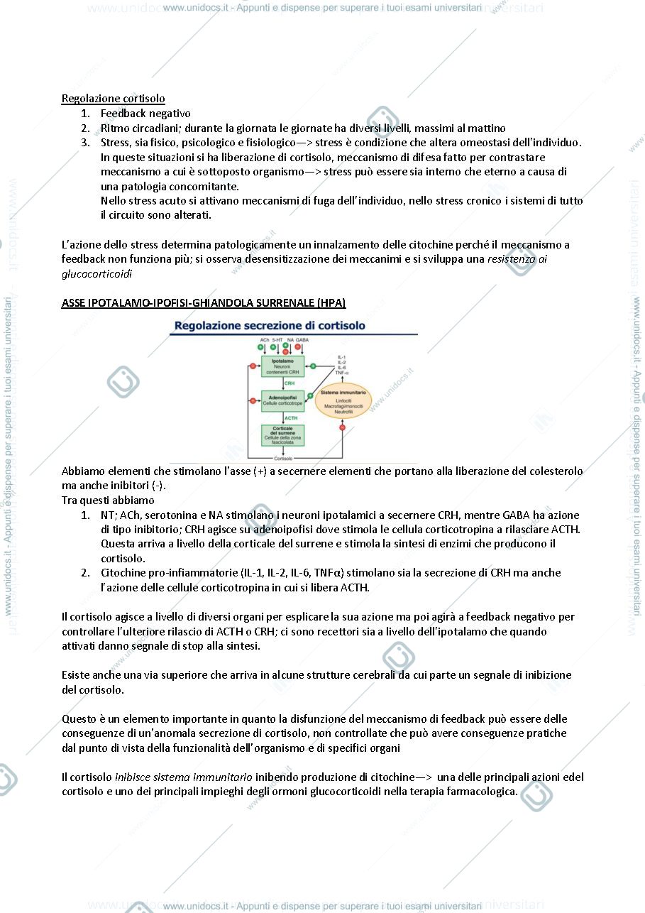 Anteprima pagina 3 — Glucocorticoidi