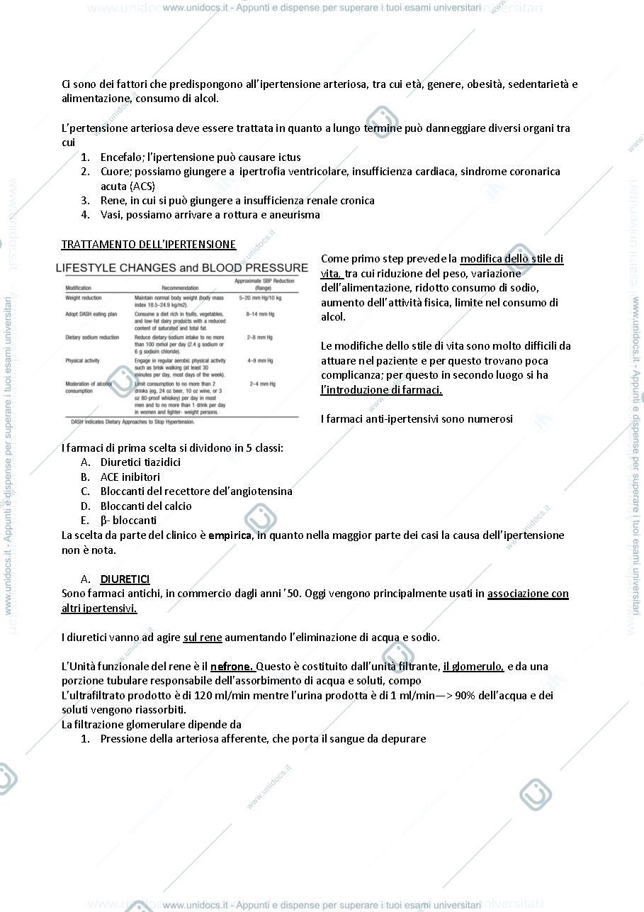 Anteprima pagina 2 — Ipertensione
