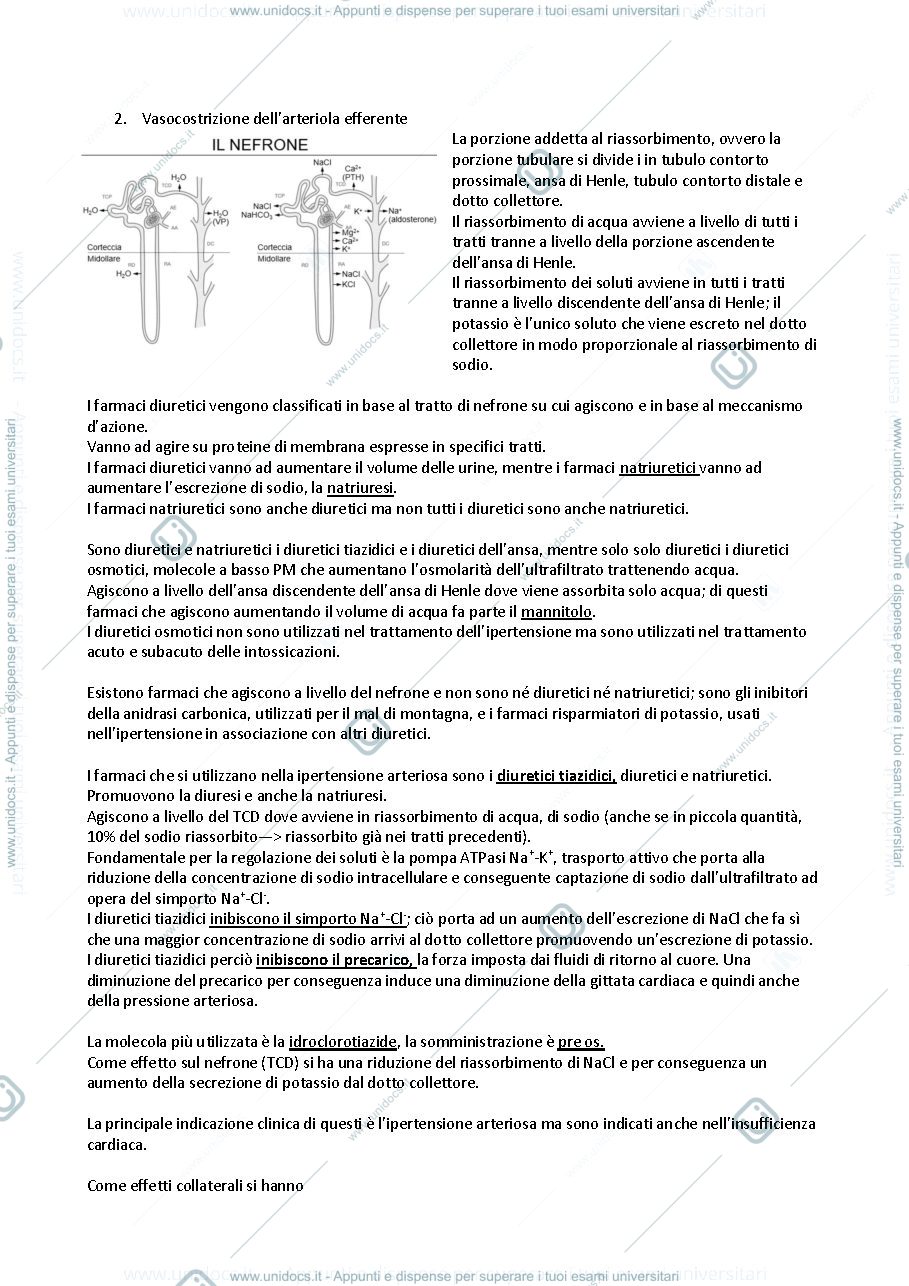 Anteprima pagina 3 — Ipertensione