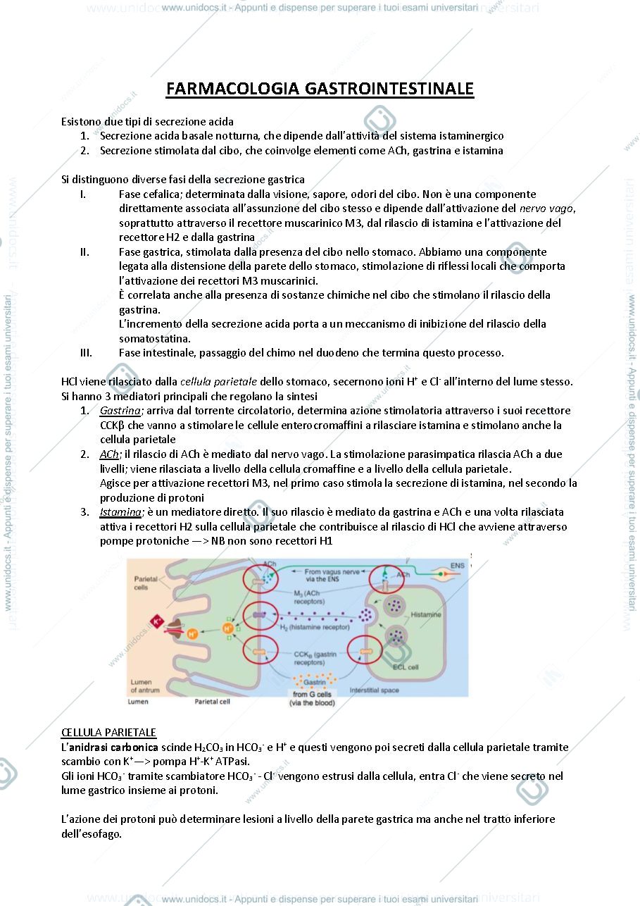 Anteprima pagina 1 — Sistema gastrointestinale