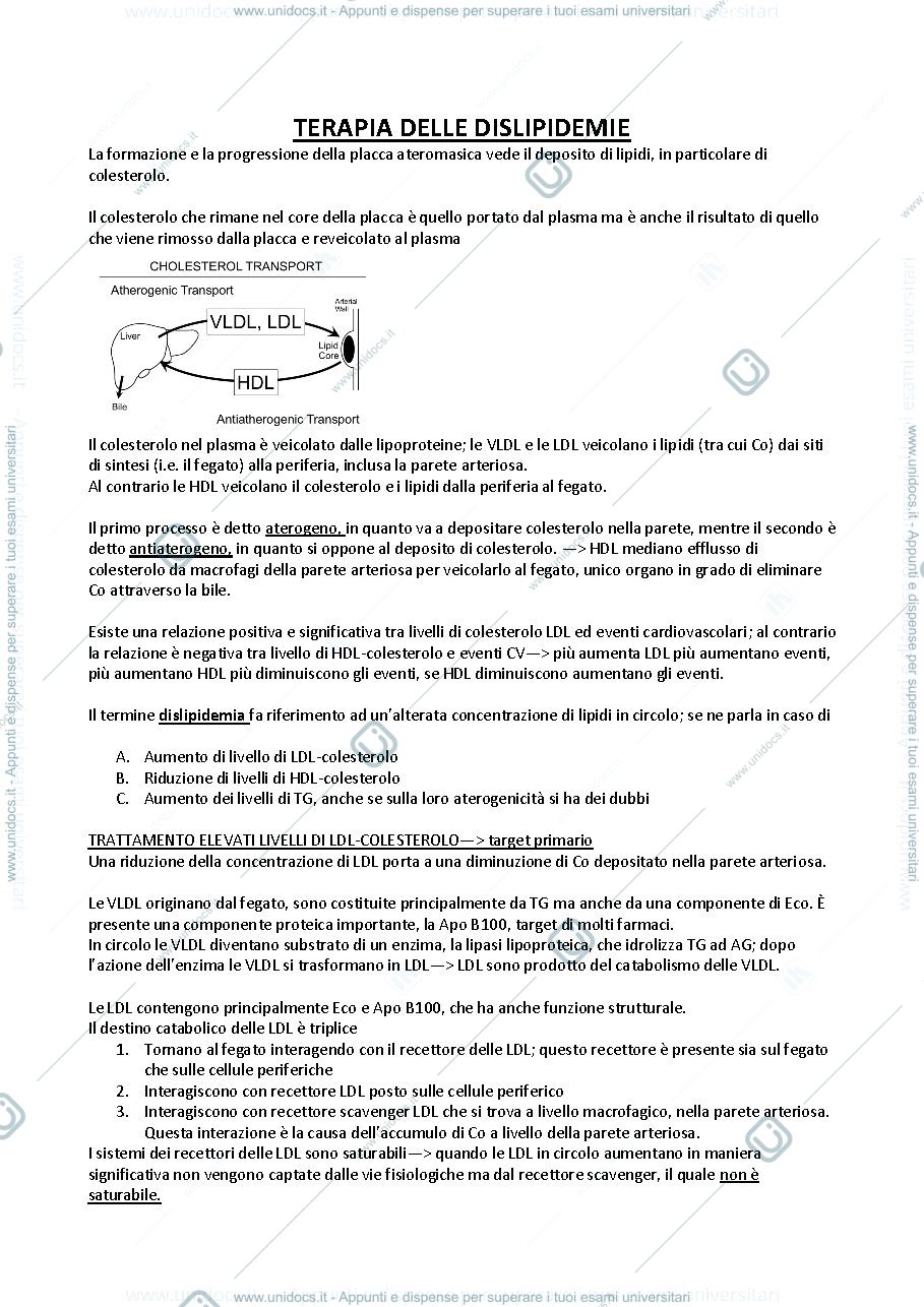 Anteprima pagina 1 — Terapia delle dislipidemie