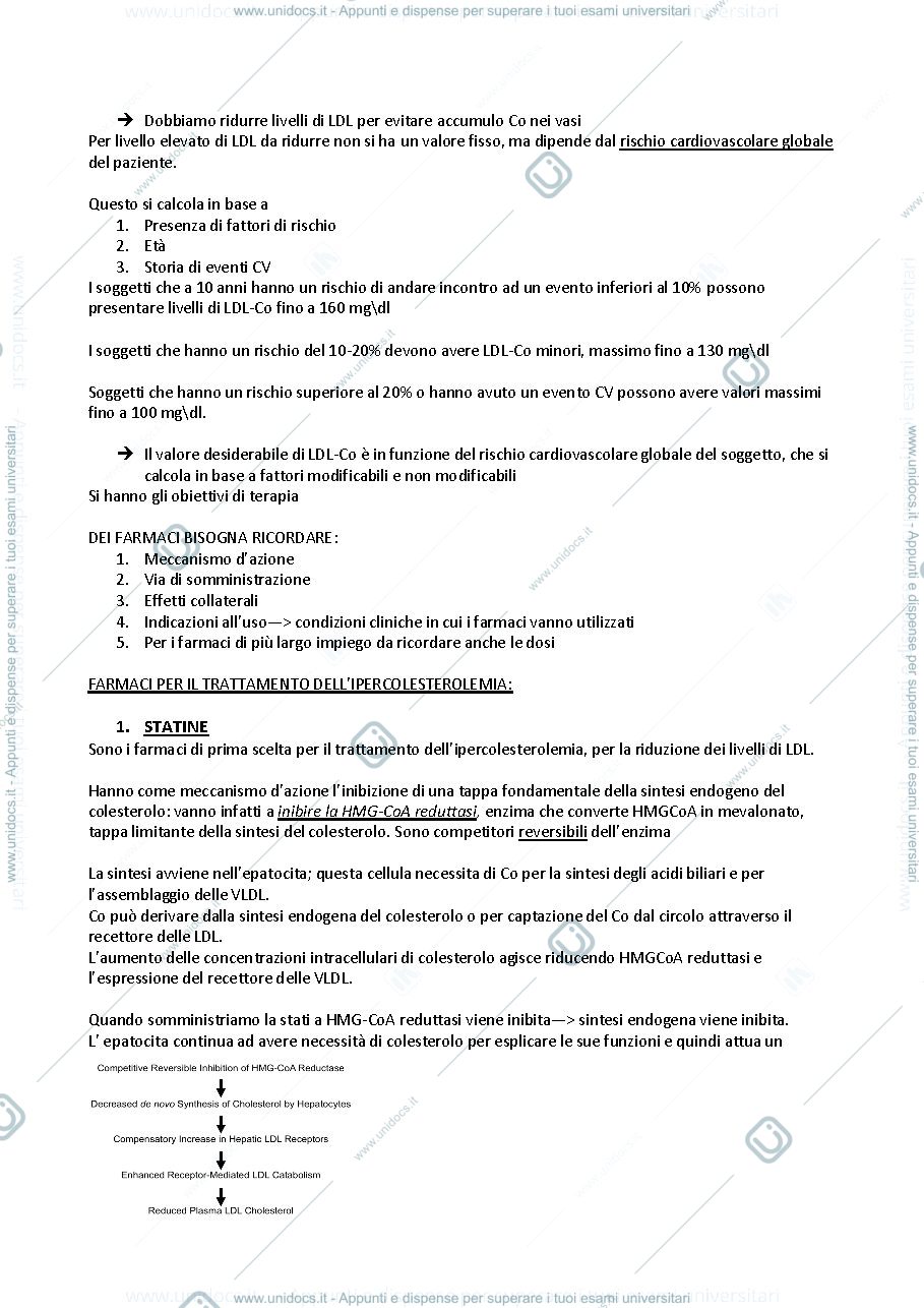 Anteprima pagina 2 — Terapia delle dislipidemie