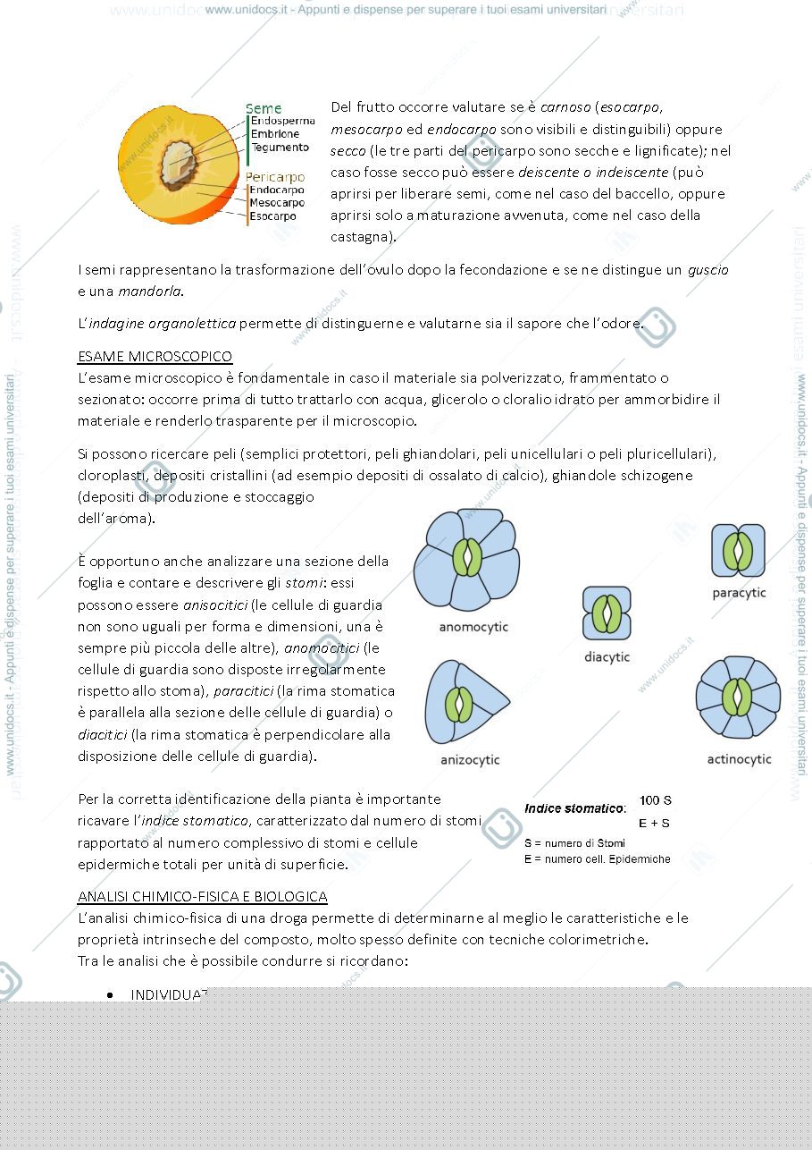 Anteprima pagina 4 — FARMACOGNOSIA