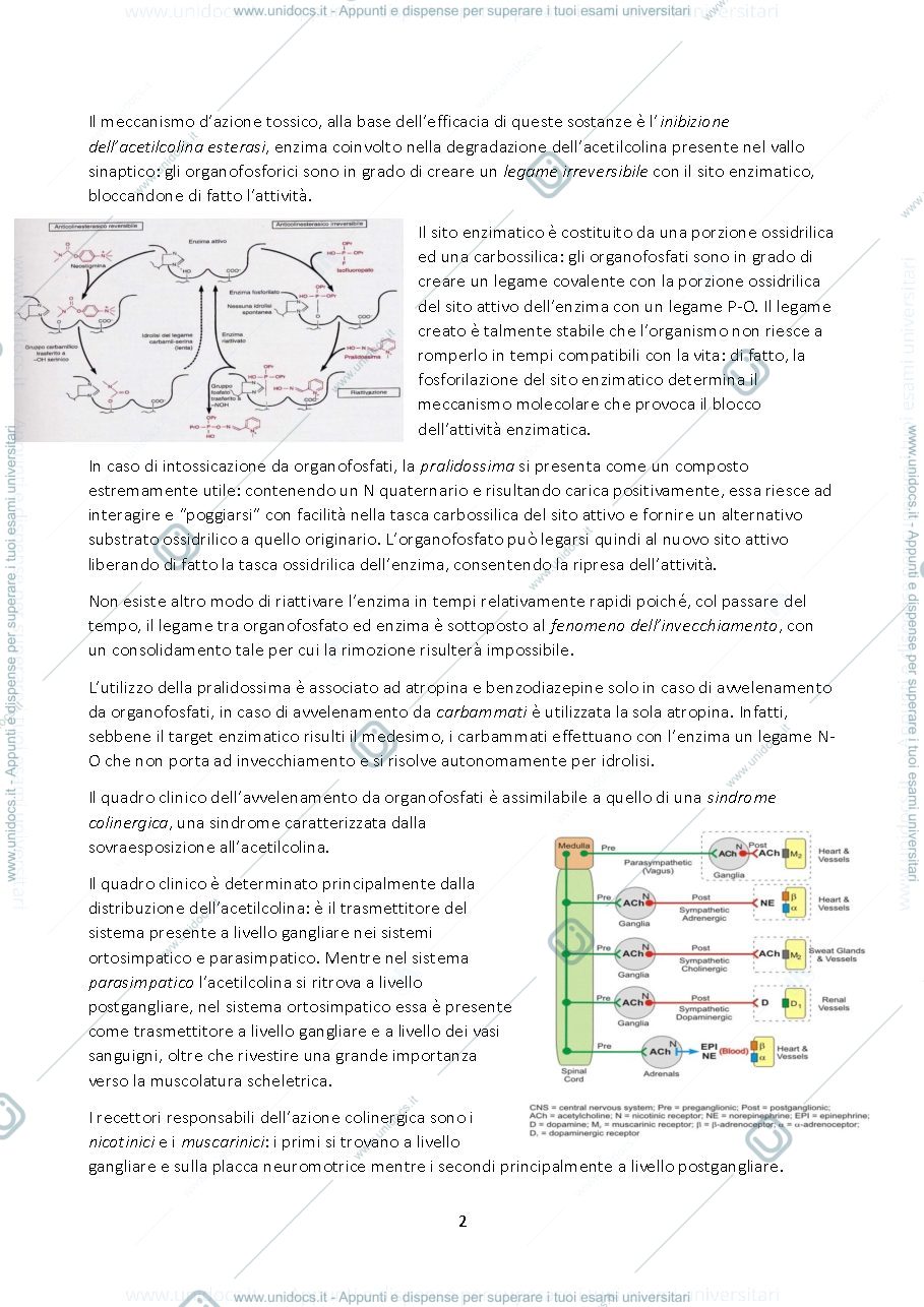 Anteprima pagina 3 — TOSSICOLOGIA