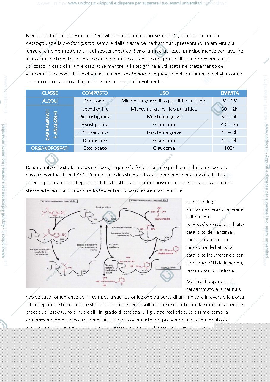 Anteprima pagina 5 — FARMACOLOGIA II