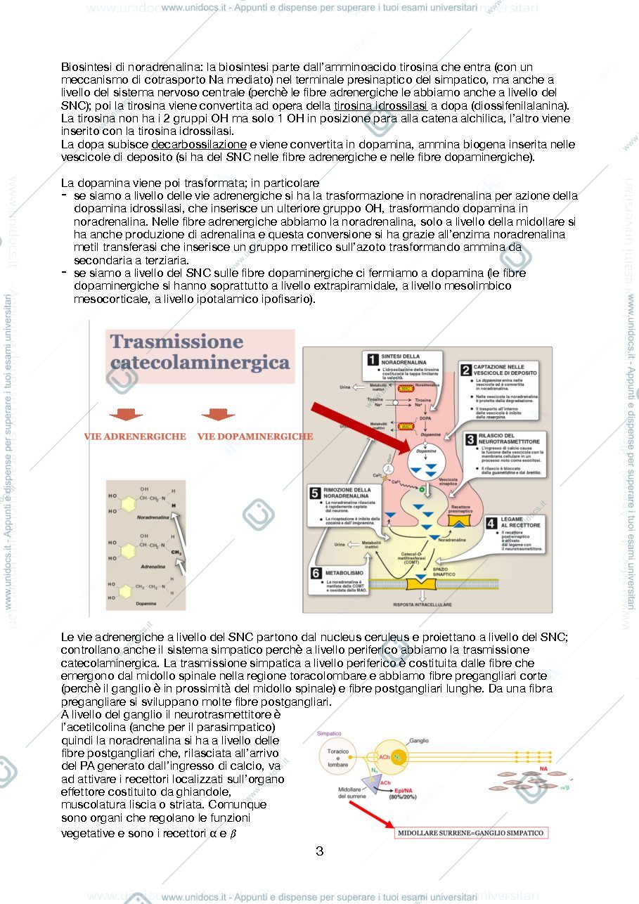 Anteprima pagina 3 — Farmacoterapia (Testai + Nieri)