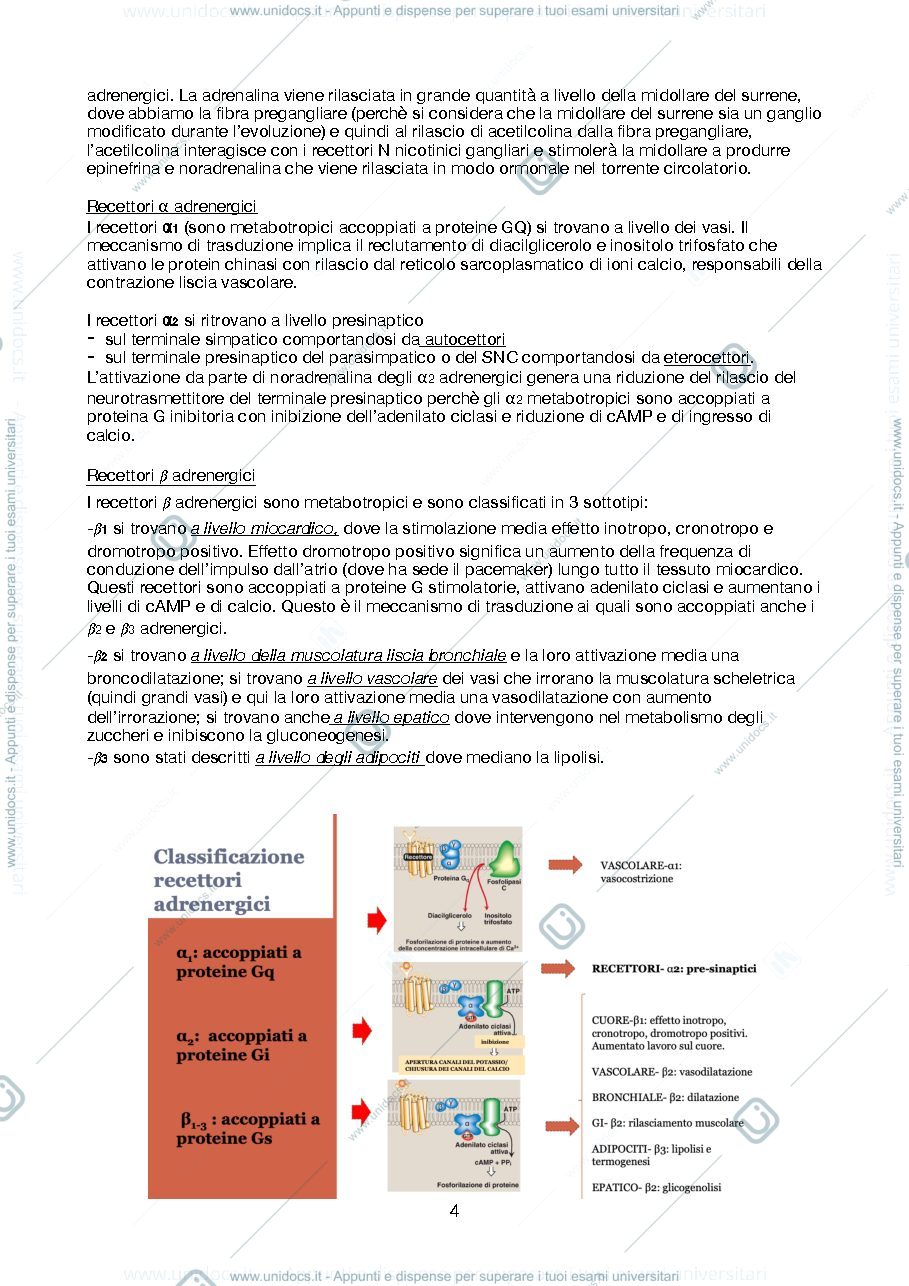Anteprima pagina 4 — Farmacoterapia (Testai + Nieri)