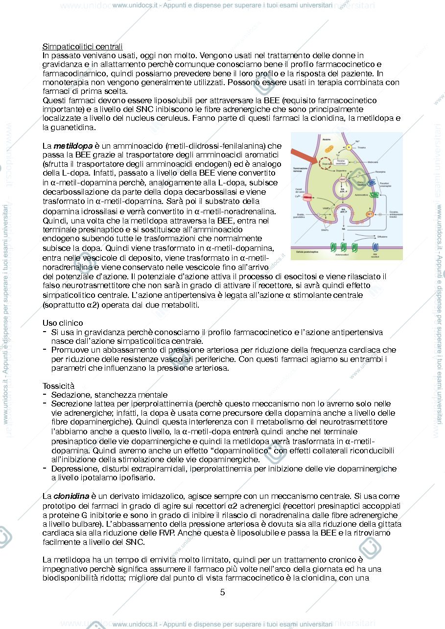Anteprima pagina 5 — Farmacoterapia (Testai + Nieri)