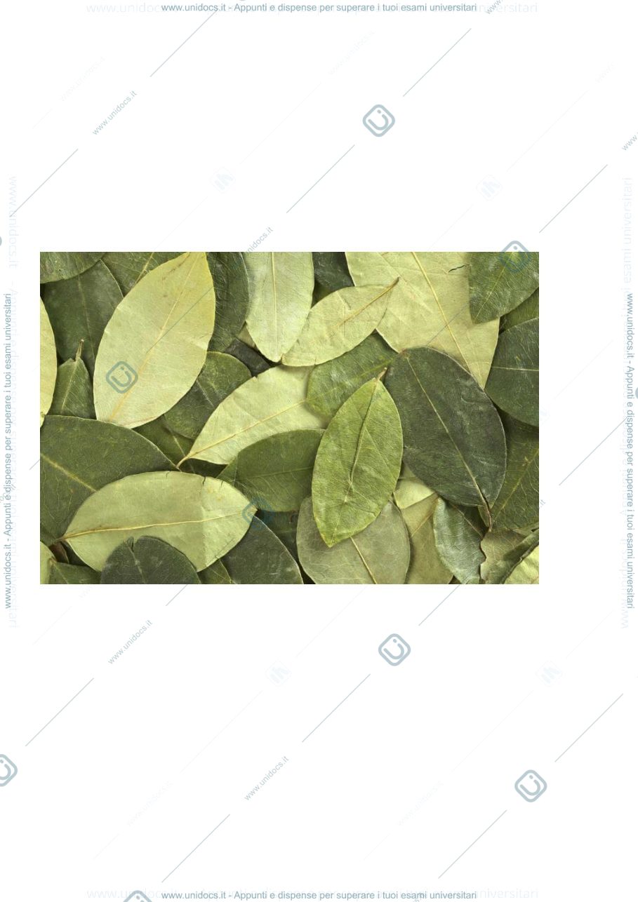 Anteprima pagina 1 — FLASHCARD FARMACOGNOSIA
