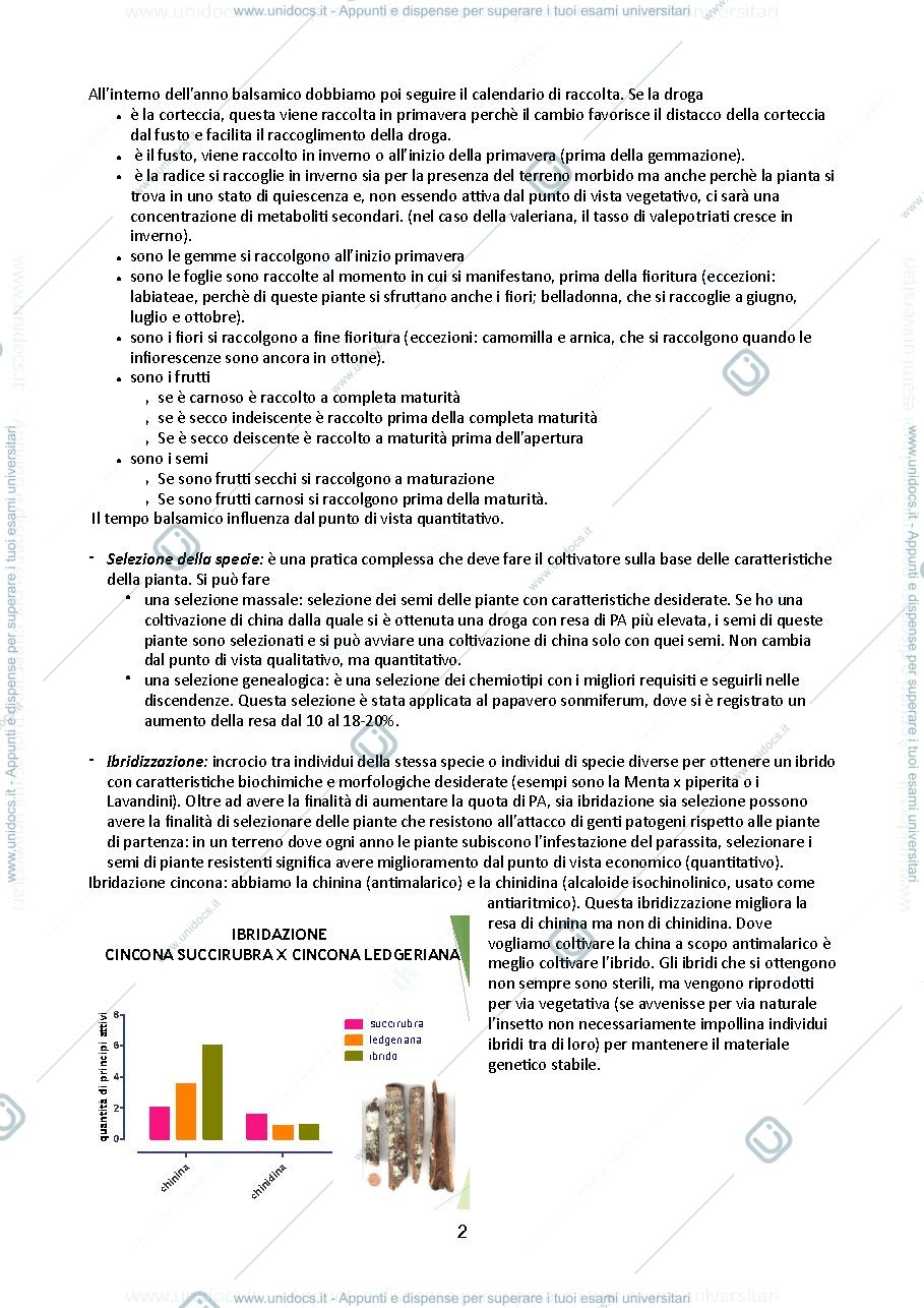 Anteprima pagina 2 — Farmacognosia