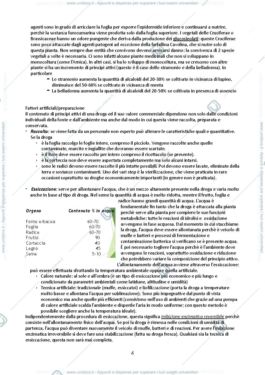 Anteprima pagina 4 — Farmacognosia