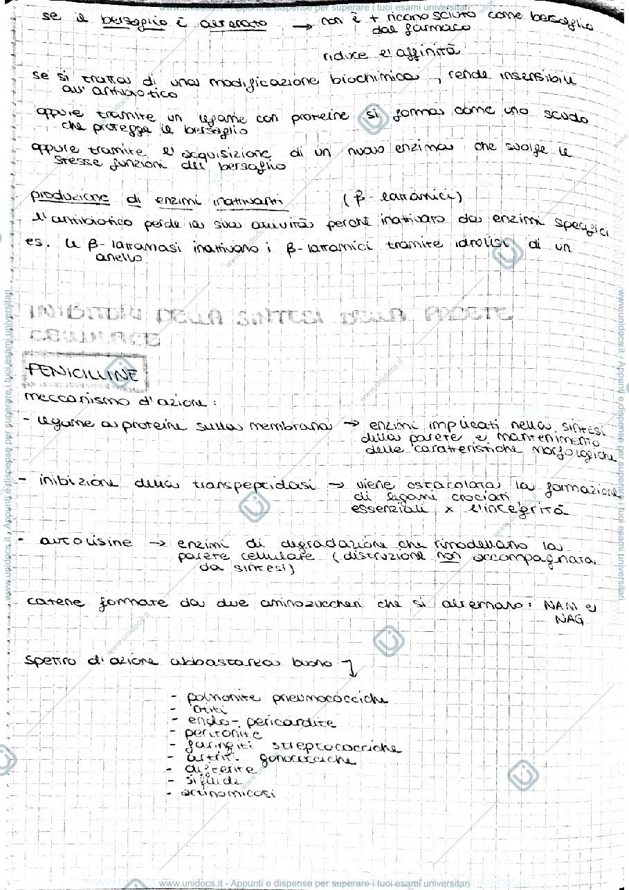 Anteprima pagina 4 — Farmacologia 2 prima parte