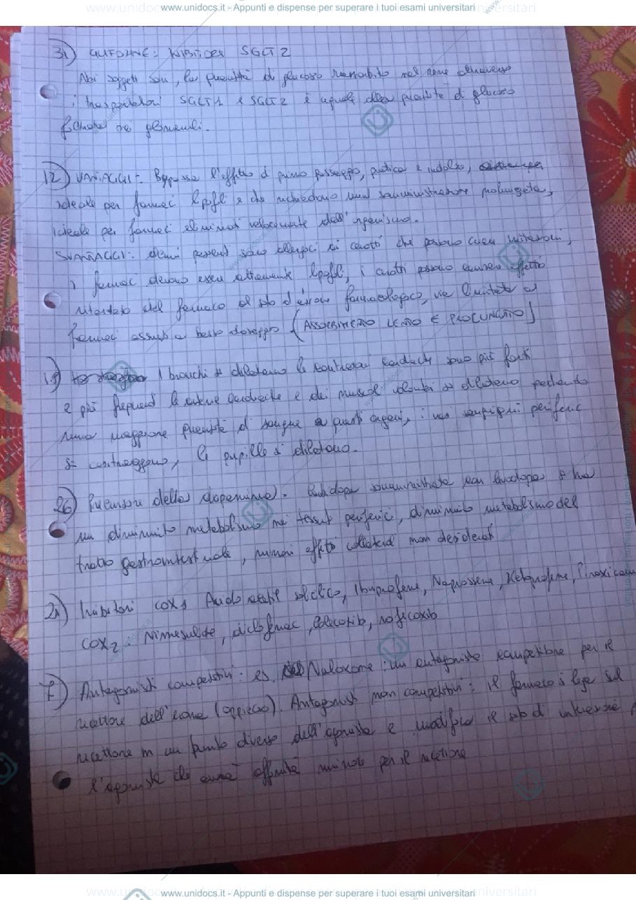 Anteprima pagina 1 — domande