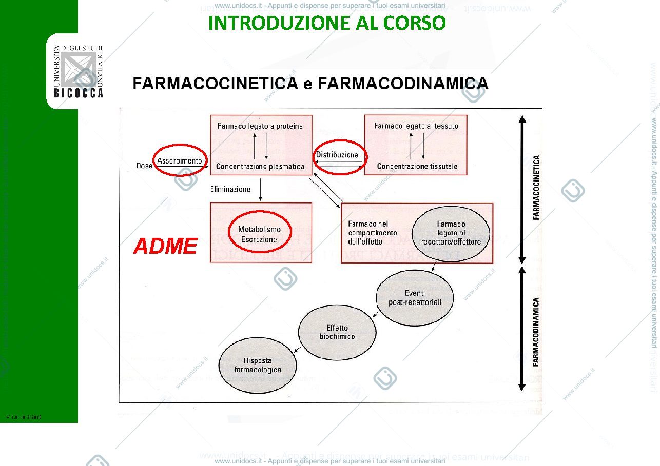 Anteprima pagina 1 — farmacocinetica2