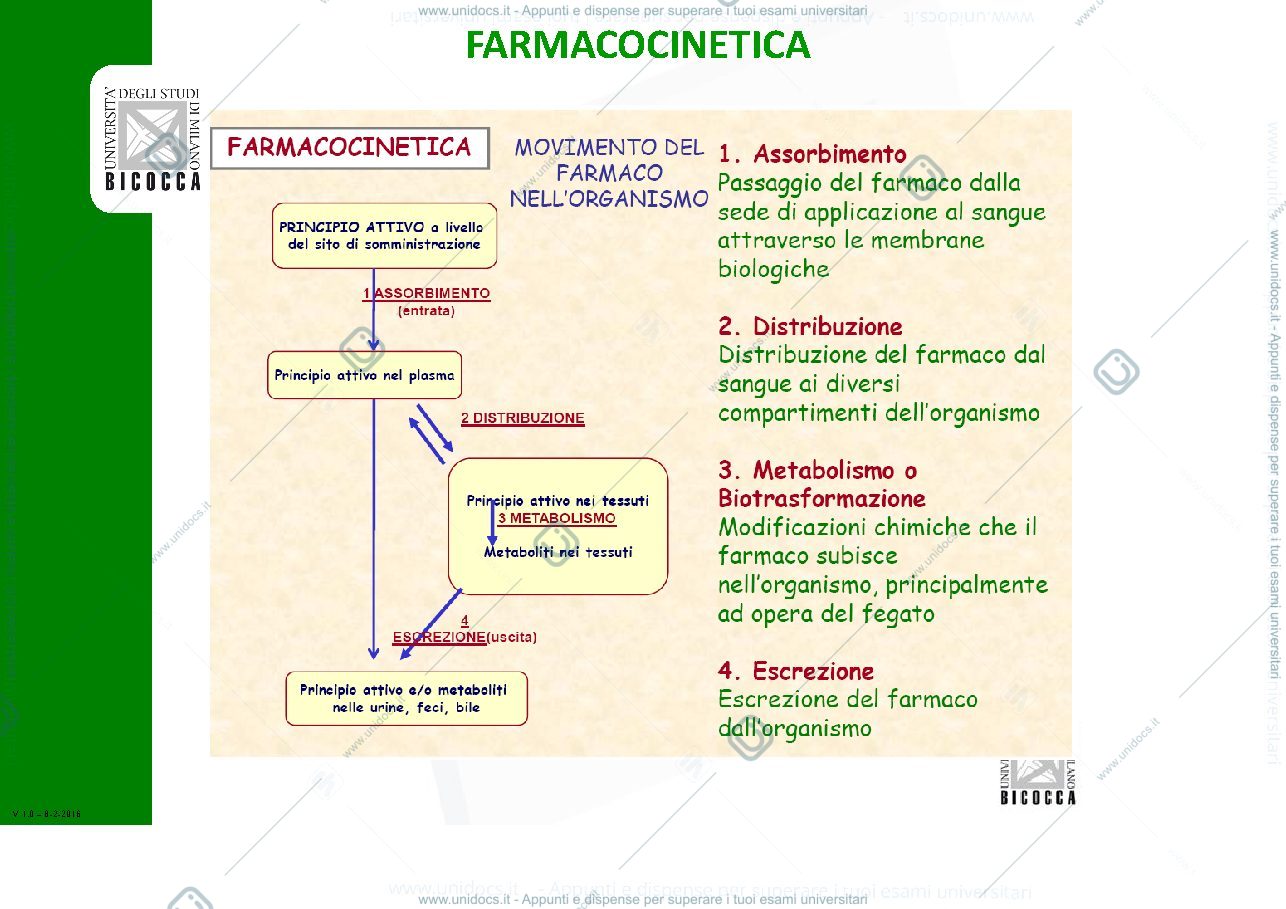 Anteprima pagina 2 — farmacocinetica2