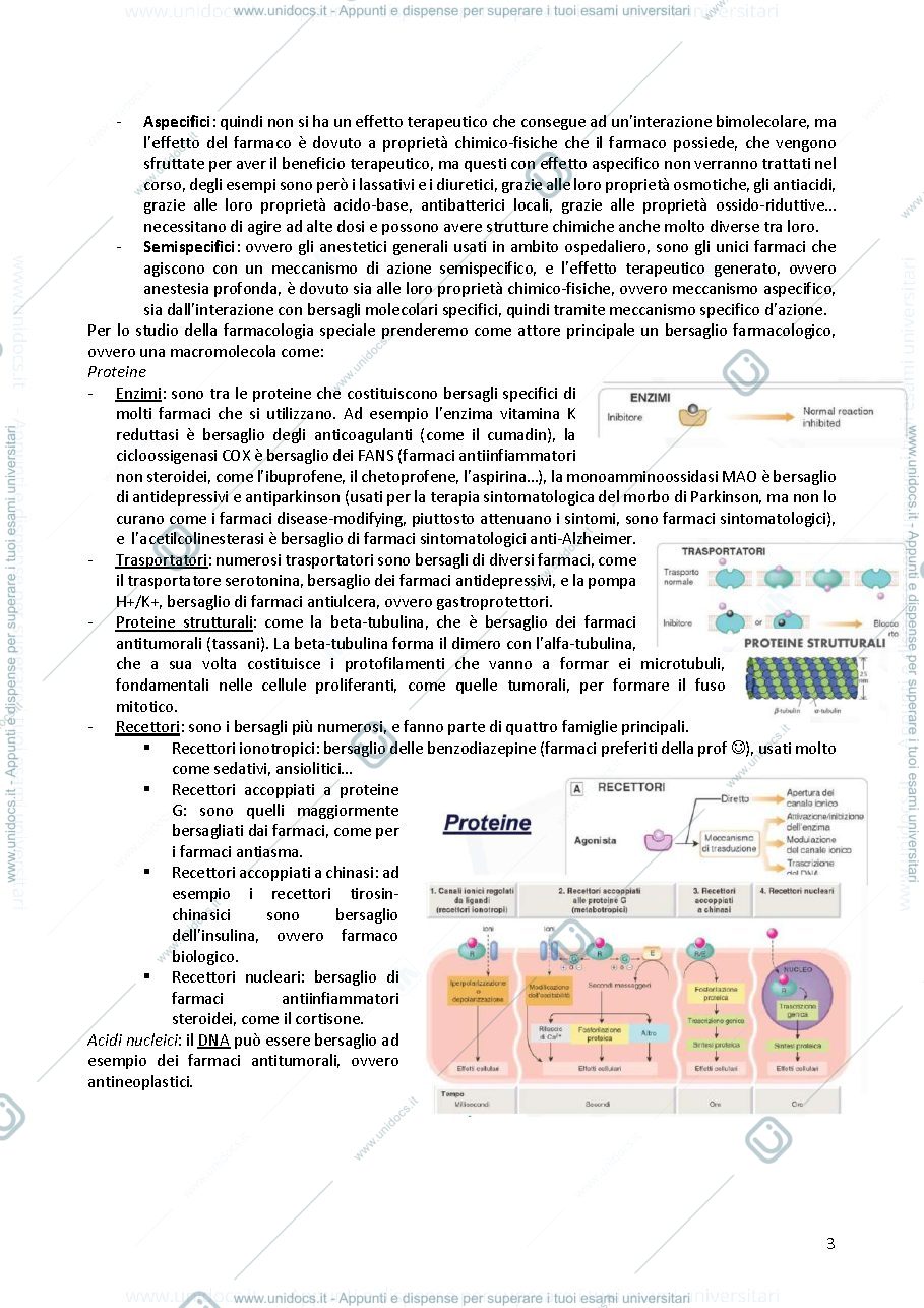 Anteprima pagina 3 — Farmacologia 