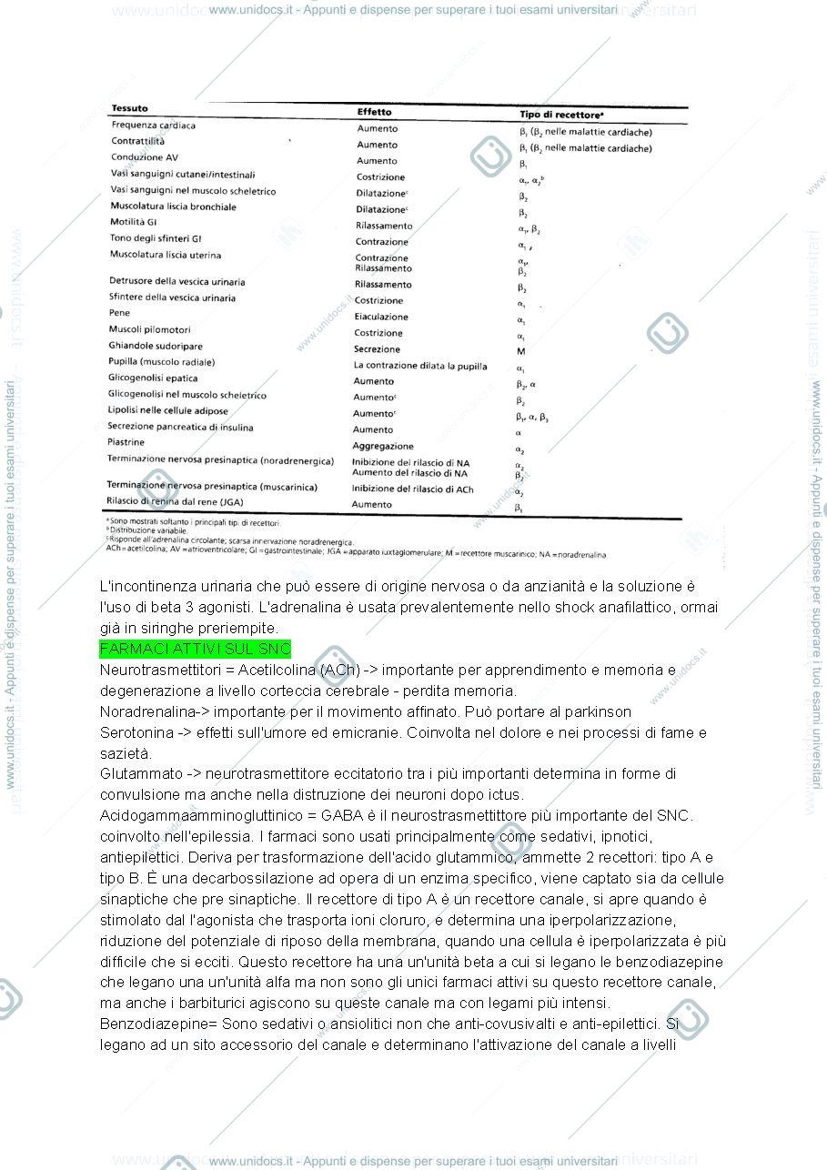Anteprima pagina 4 — Farmacologia 