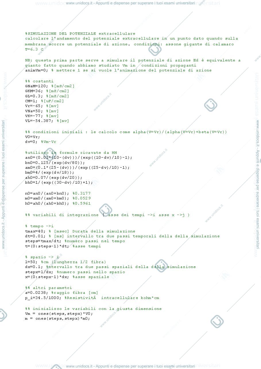 Anteprima pagina 1 — simulazione matlab potenziale extracellulare