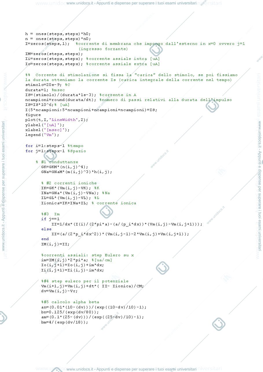 Anteprima pagina 2 — simulazione matlab potenziale extracellulare
