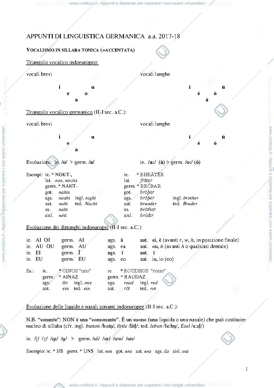 Anteprima pagina 1 — Appunti di linguistica germanica