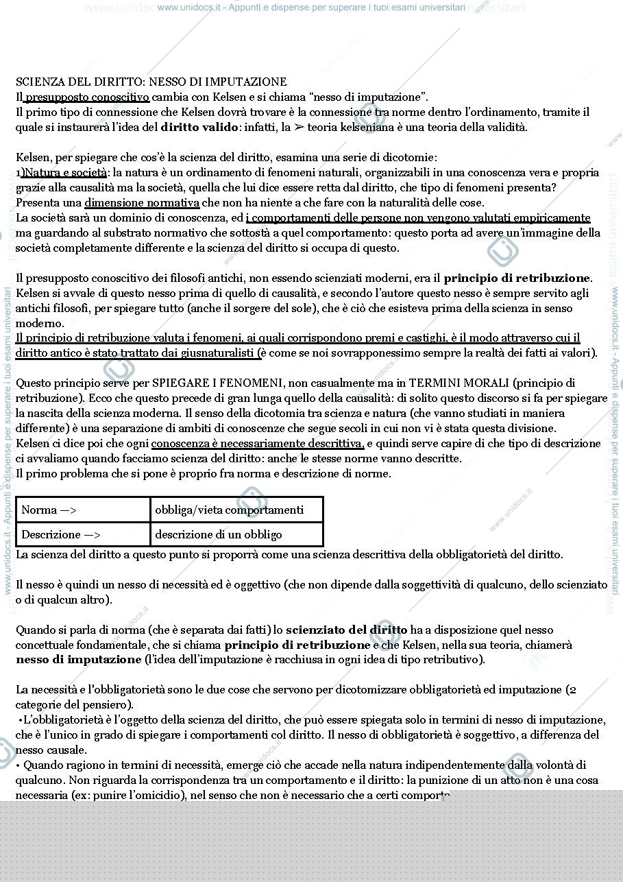 Anteprima pagina 3 — LA DOTTRINA PURA  DEL DIRITTO - HANS KELSEN 