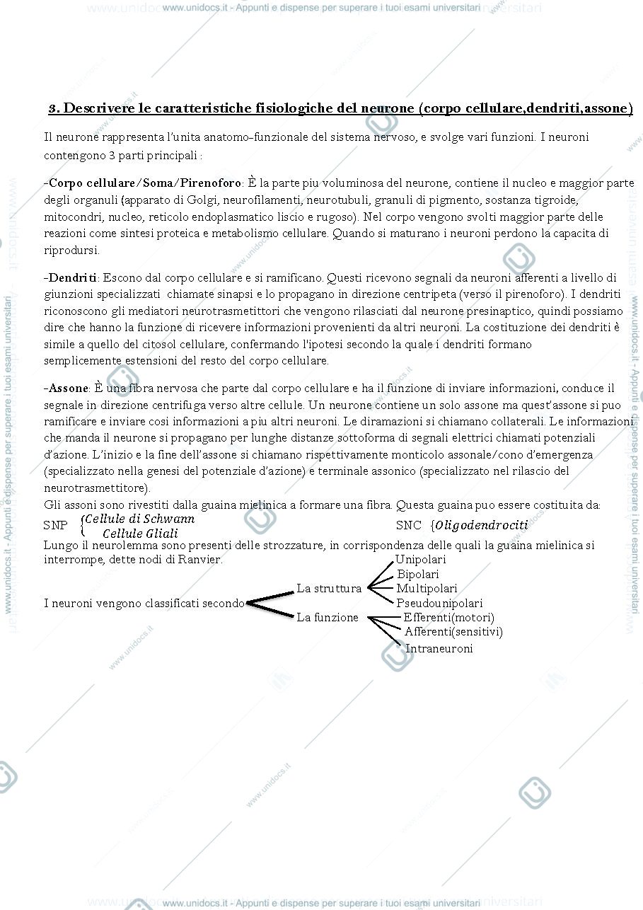 Anteprima pagina 3 — Fisiologia